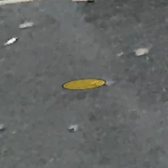 停車場入口車道 WS-ACTIVE-G 感測器放大